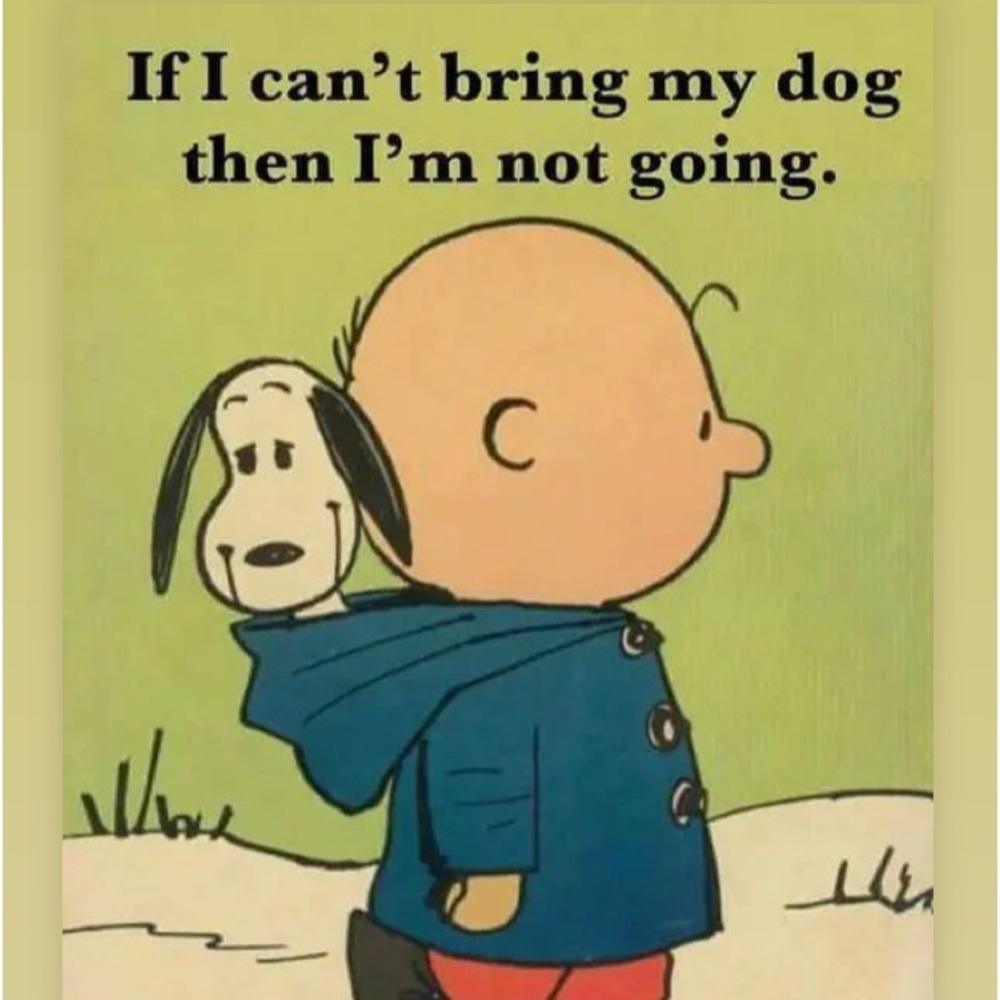 Meet your Posher, Galeydia